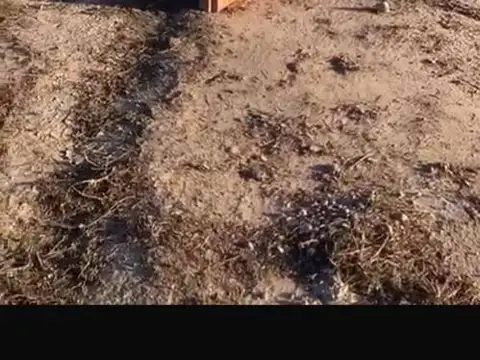 Terreno en Venta en Lujan De Cuyo, USD 9.500