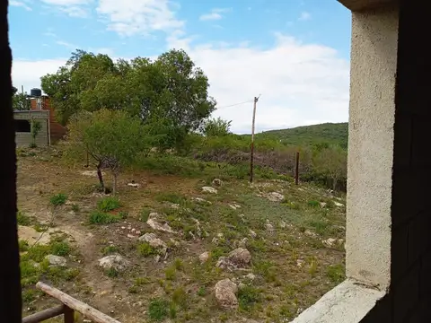 Juan Bautista Alberdi 100