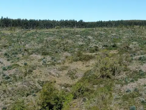 CAMPO EN VENTA AIGUA FORESTAL