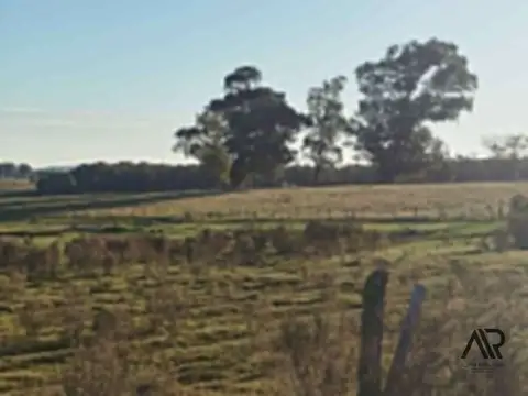 Chacra de 5 hectáreas, en Camino Medellín y Ruta 104-Manantiales, Maldonado/Punta del Este/Uruguay.