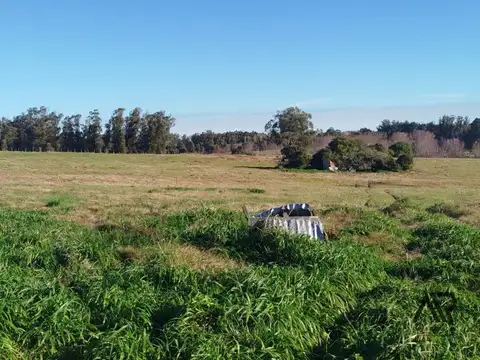 Chacra de 5 hectáreas, en Camino Medellín y Ruta 104-Manantiales, Maldonado/Punta del Este/Uruguay.