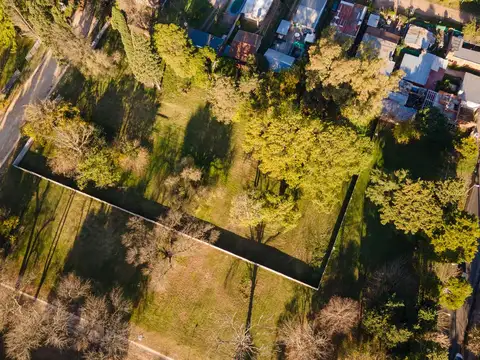 Lisandro de la Torre al 4500