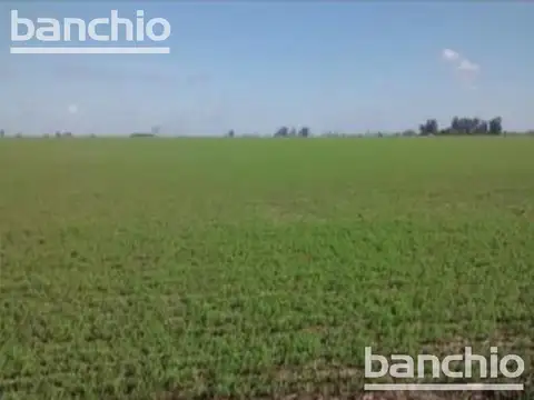 Countryside - General Lagos