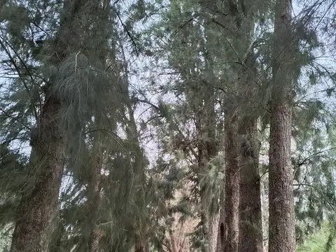 Terreno en Venta de 1360,0 m2