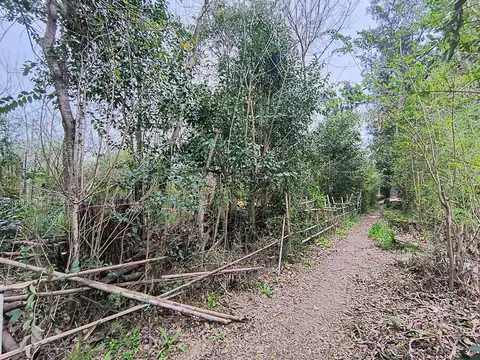 Rio o Arroyo Rama Negra a metros del Rio 100