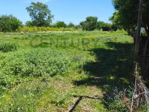 Panama y Venenzuela , Piso 0