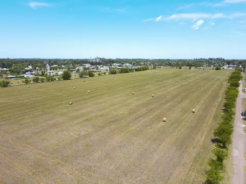 AO12 - Río Bermejo y Av. Mapuches - Roldan