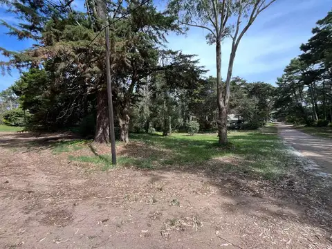 Alfonso Cabral Y Comodoro Urtubey