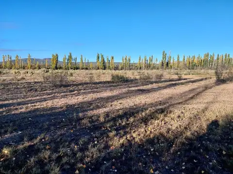 José Mora y C. Gutiérrez