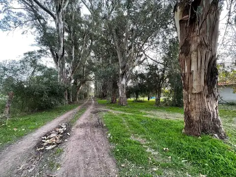 Terreno en Venta en Villa Rosa, USD 1.250.000