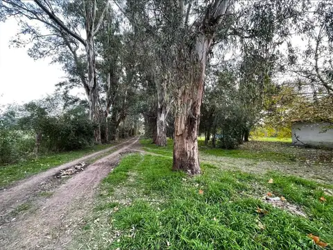 Terreno en Venta en Villa Rosa, USD 1.250.000