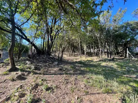 Terreno en Venta de 310,0 m2