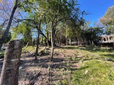 Calle de Las Verbenas & De Los Chañares