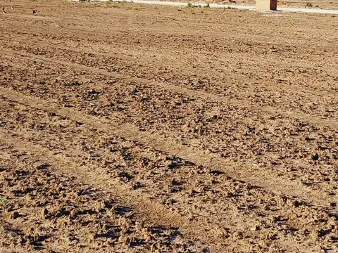 Terreno - Venta - Argentina, Ezeiza