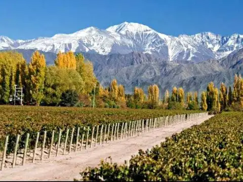 Terreno en Venta de 324,0 m2