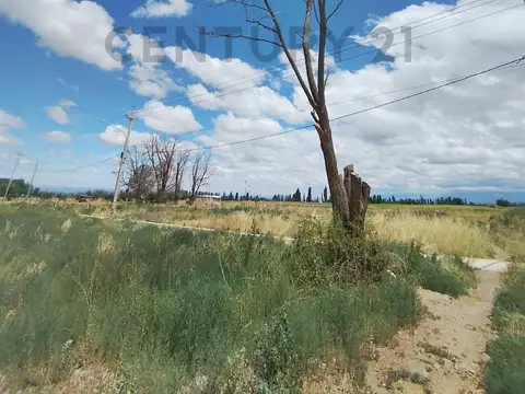 Century 21 López VENDE LOTES EN TUPUNGATO -  VALLE DE UCO - MENDOZA