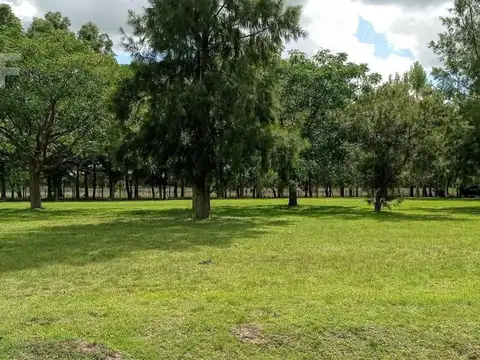 Terreno en Venta en Coronel Brandsen, USD 19.000