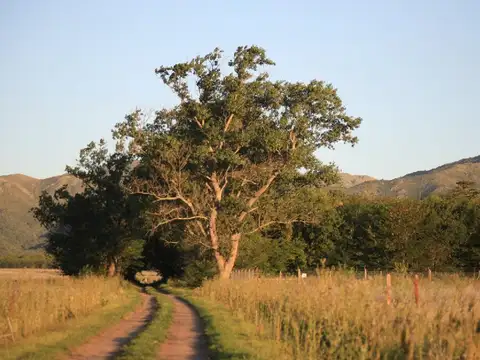 Terreno en Venta en Villa del Parque, USD 13.000