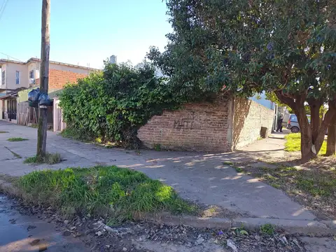 Ventura Bosch  al 2400 esquina Santoi Tome