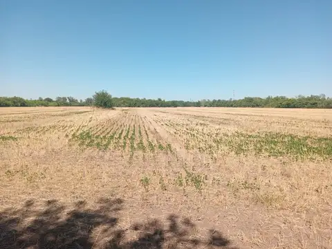 VENTA CAMPO 16 HECTAREAS ZONA PILAR