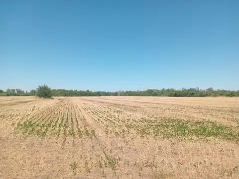 VENTA CAMPO 16 HECTAREAS ZONA PILAR