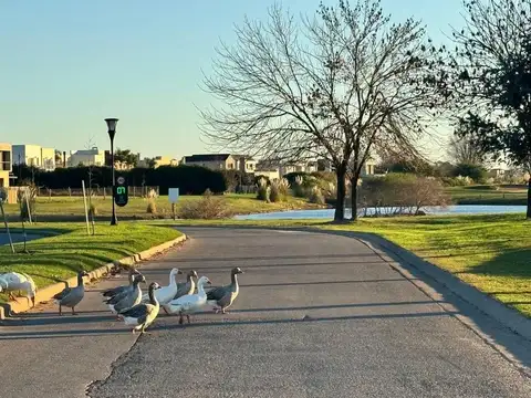 Lote en Venta, 800m2, en Barrio El Trebol, Haras Santa Maria, Escobar, G.B.A Norte,