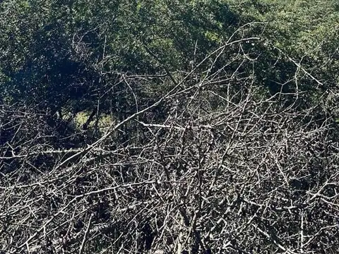 Terreno en Venta en Potrero De Garay, USD 32.000