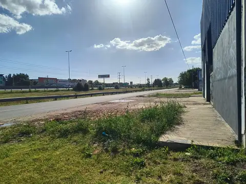 Galpon en Alquiler 20  mts Fondo