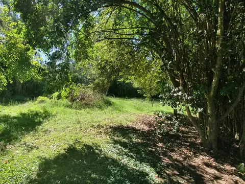 Terreno en Venta 44  mts Fondo