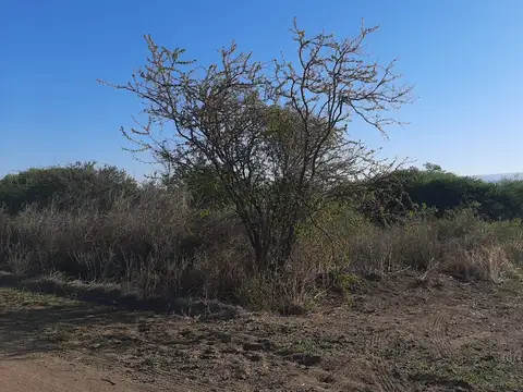 Terreno en Venta de 979,0 m2