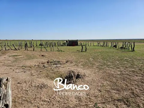 Estancia ganadera - San Luis -