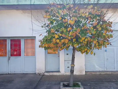 Casa ideal 2 familias y local  en Villa Luzuriaga