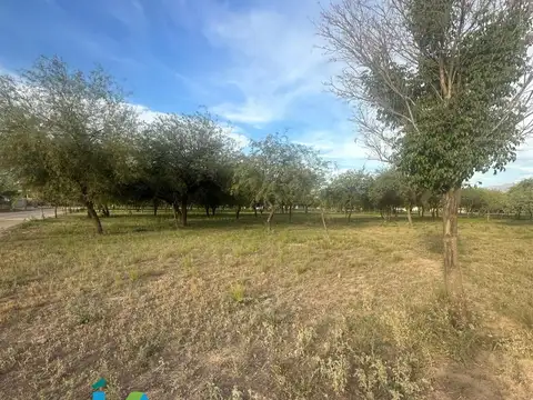 Terreno en Venta de 806,0 m2