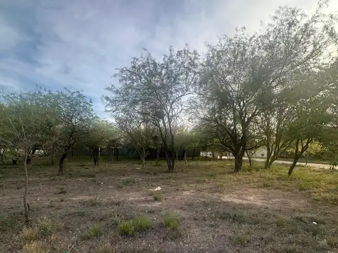 Callejon De Los Castellano 300