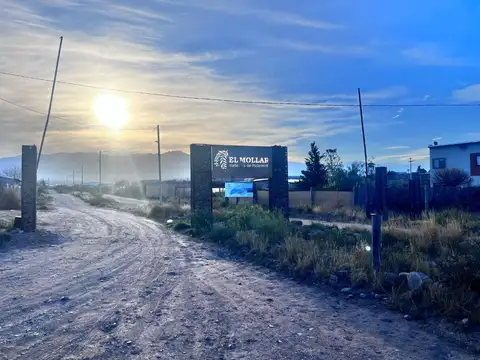 LOTE Vertientes del Pedemonte.  El Mollar