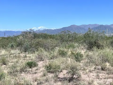 Terreno en Venta de 1000,0 m2