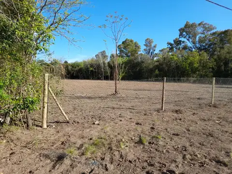 Terreno en venta en  Zelaya