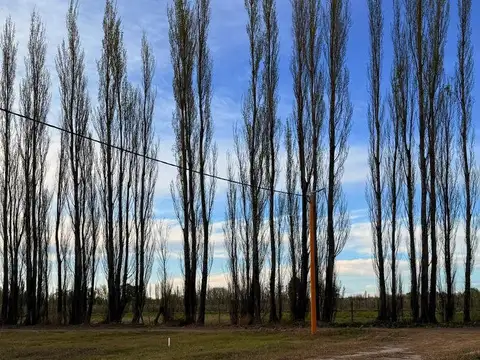 RE/MAX VENDE TERRENO EN LOTEO LA RUFINA