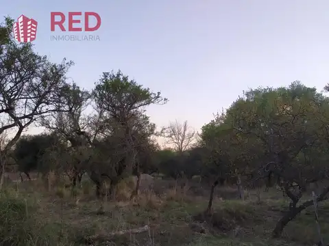 Terreno en Venta 30  mts Fondo