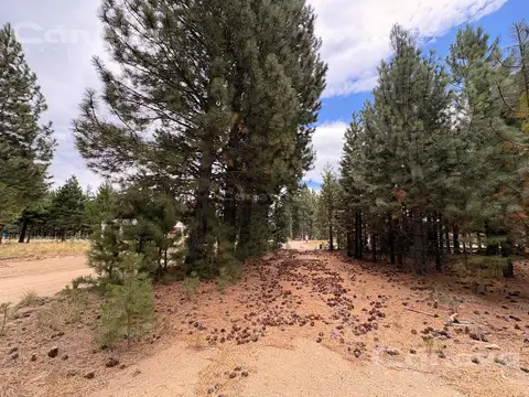 Terreno en Venta 25  mts Frente