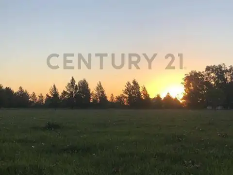 Lotes en venta en Brandsen