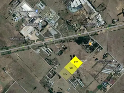 3 Fracciones de Campo de  2 ha cada una - Juntas o por separado - General Las Heras