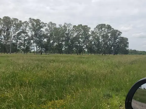 Terreno en Venta de 60017,0 m2