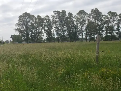 Terreno en Venta 156  mts Fondo