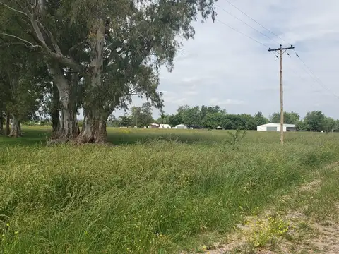 3 Fracciones de Campo de  2 ha cada una - Juntas o por separado - General Las Heras