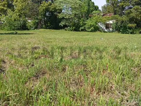 Lote en venta  en Berisso | calle 37 e/ 126 y 127 | Berisso