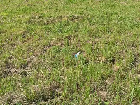 Terreno en Venta en Berisso, USD 17.000