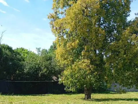 Terreno en Venta 36  mts Fondo