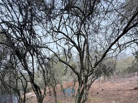 LOTE 560 M2 - VILLA ANIMI - LA GRANJA