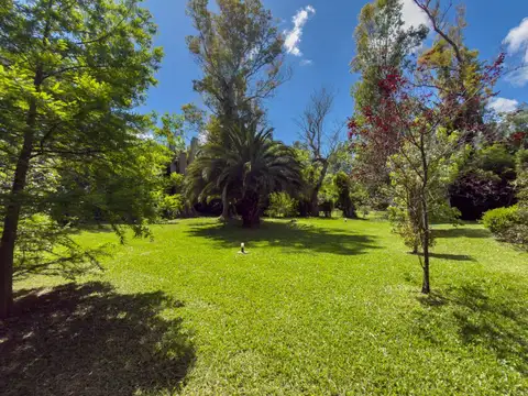 Casa en venta en Villa Elisa